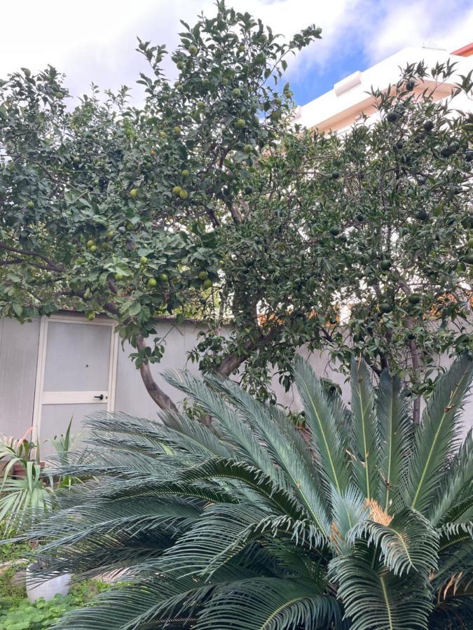 Tangerine Tree House Apartment Cagliari Exterior photo